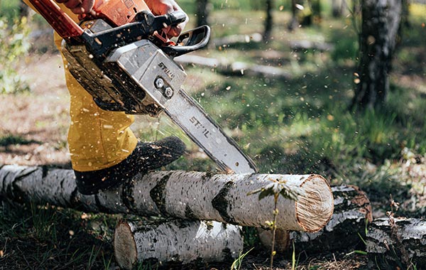 Tree Cutting And Chipping