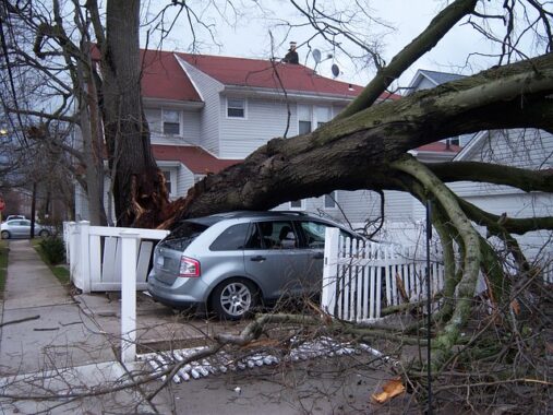 Emergency-Storm-Damage-Cleanup-Services