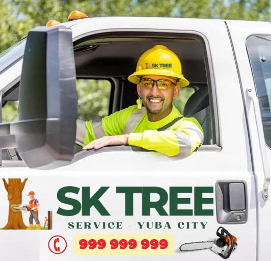 SK Yuba Tree Service worker in a hard hat smiling from a truck, representing professional tree services in Yuba City, CA